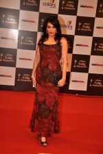 Pooja Bedi at Indian Telly Awards in Filmcity, Mumbai on 9th Sept 2014
